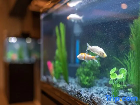 Foto - WELLSTAY Shinsekai Wakyo