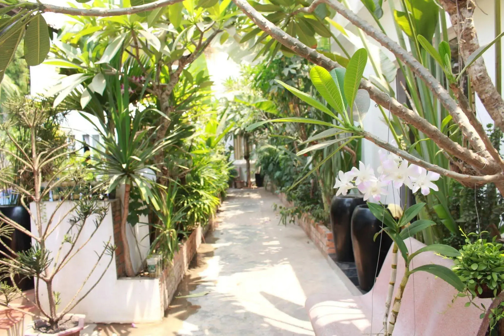 Photo - Villa Um Theara - Siem Reap