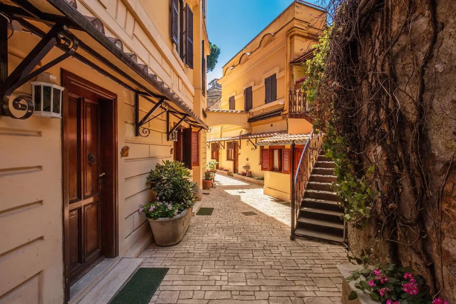 Photo - House Garden