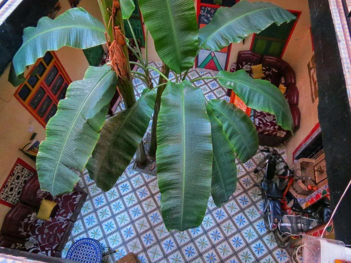 Foto - Riad Espagne