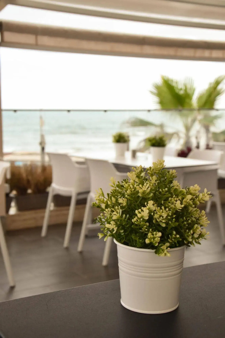 Foto - Hotel Azur