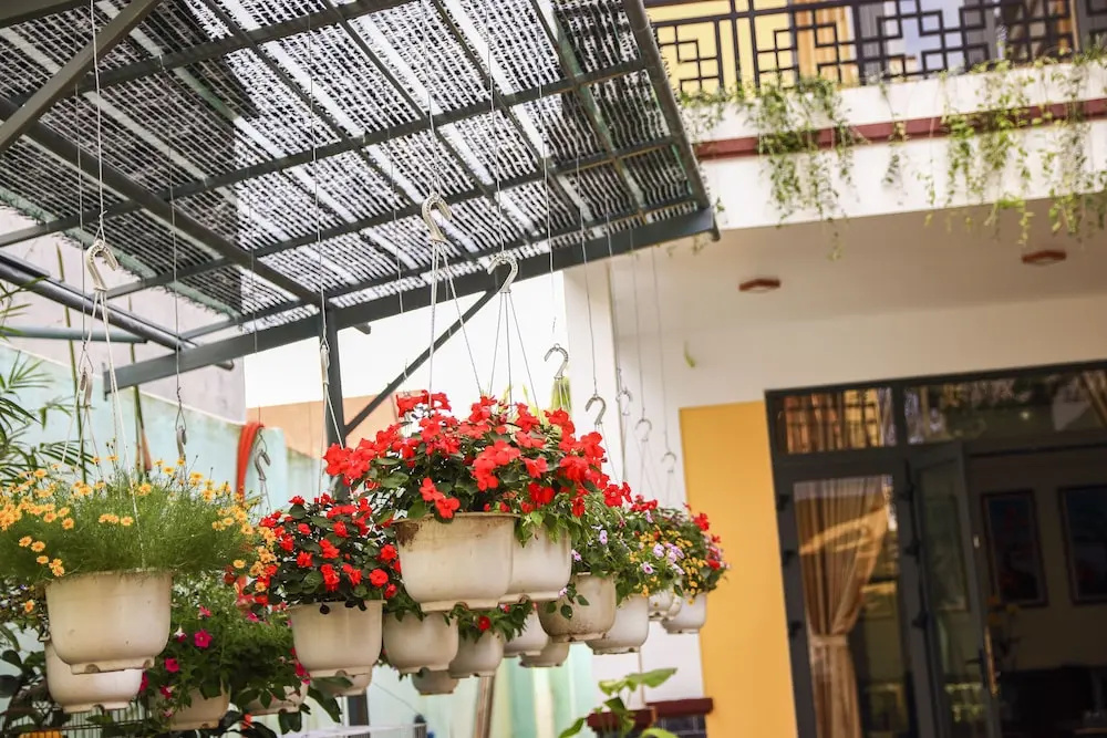 Foto - Hoi An New Life Homestay & Villa