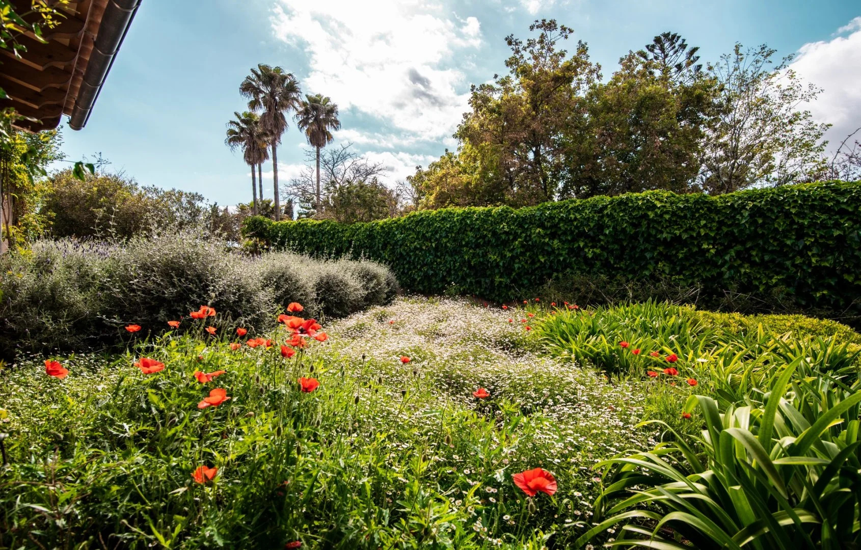 Photo - Aumallia Hotel & Spa