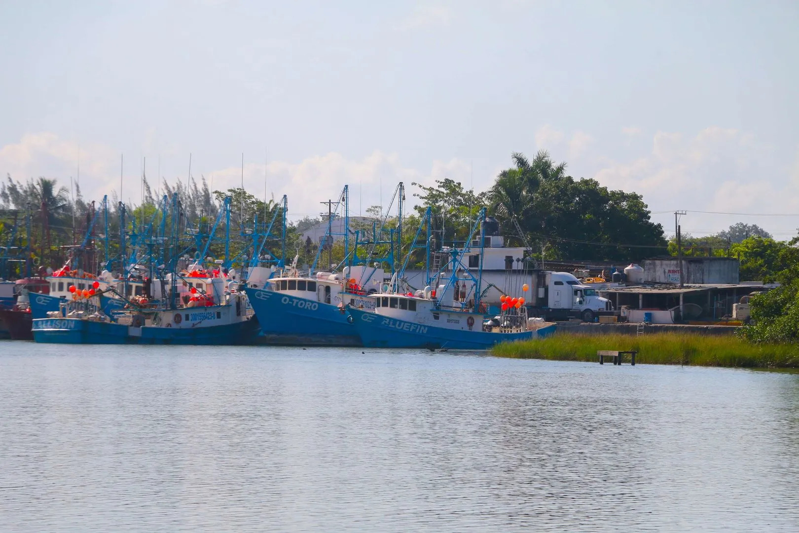 Photo - Best Western Riviera Tuxpan