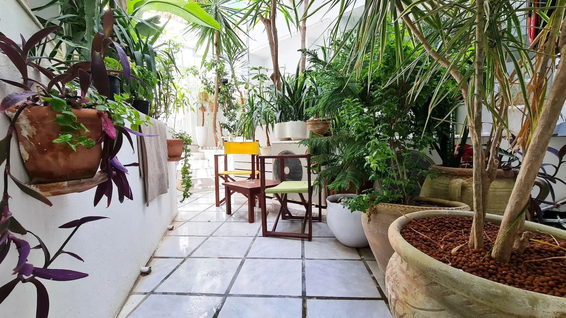 Foto - Hotel Khella