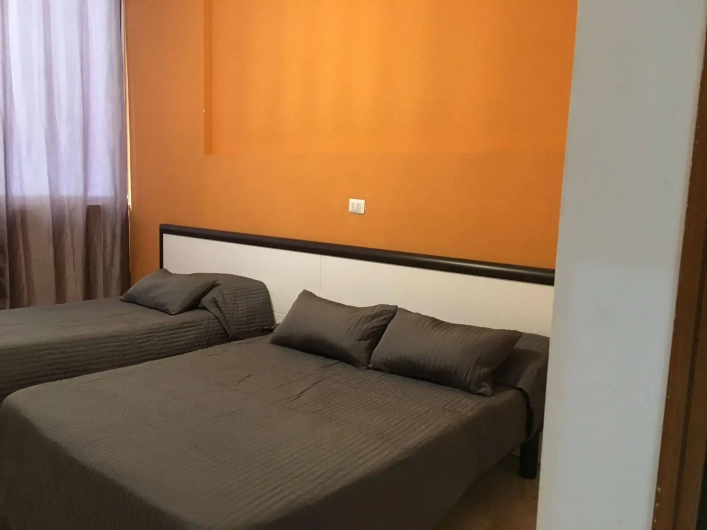 Photo - Lion University & Youth Hostel Milano