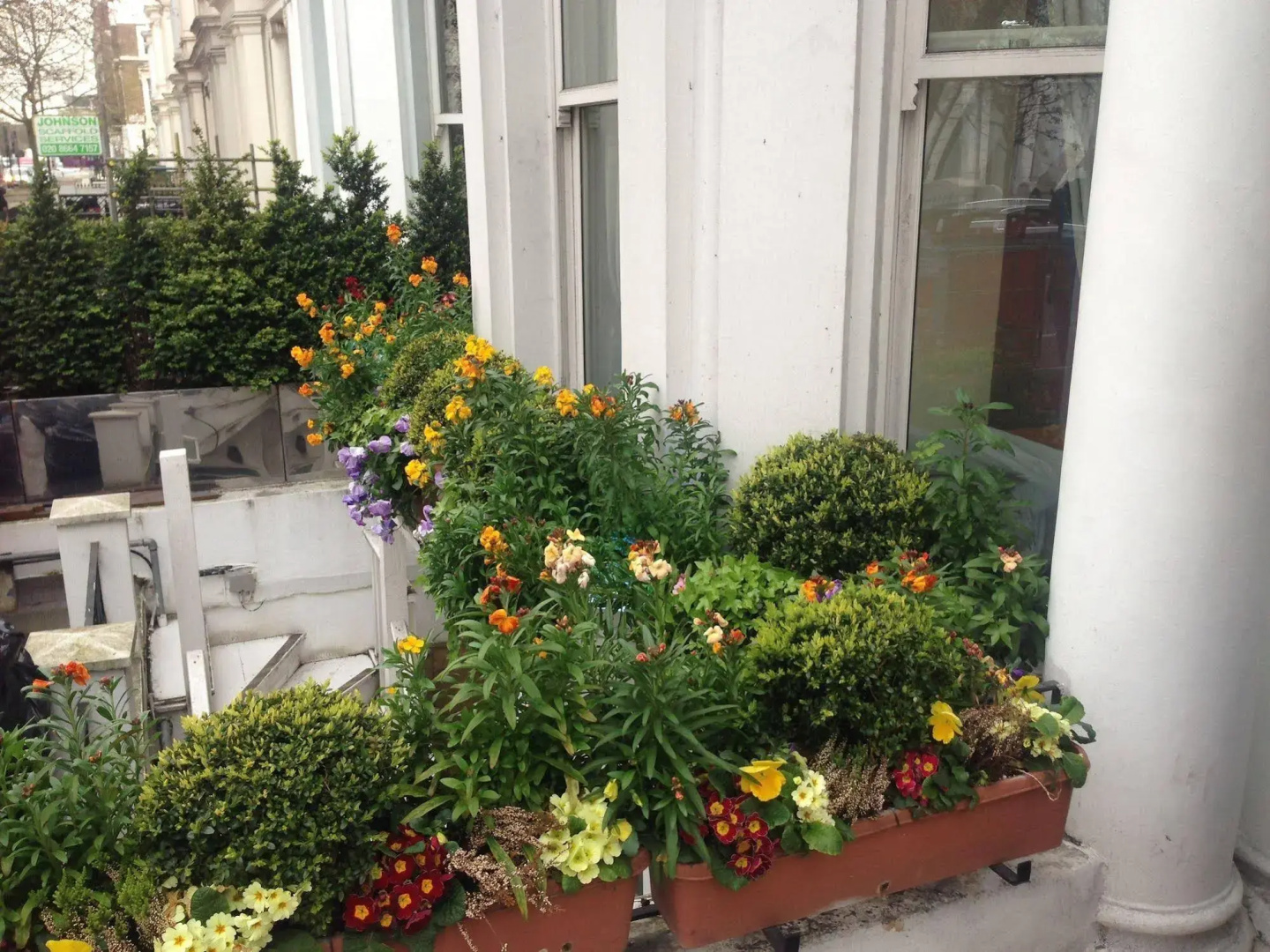 Foto - Jubilee Hotel Kensington