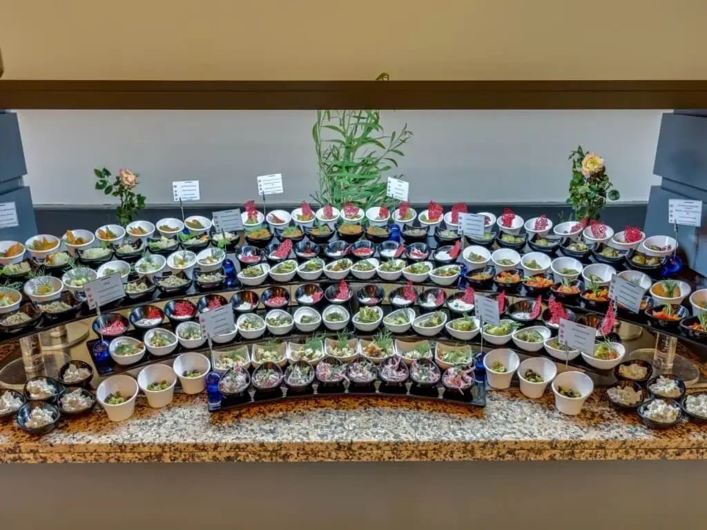 Photo - Diamond Of Bodrum