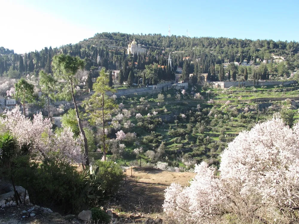 Foto - Khan Ein Karem Boutique Hotel