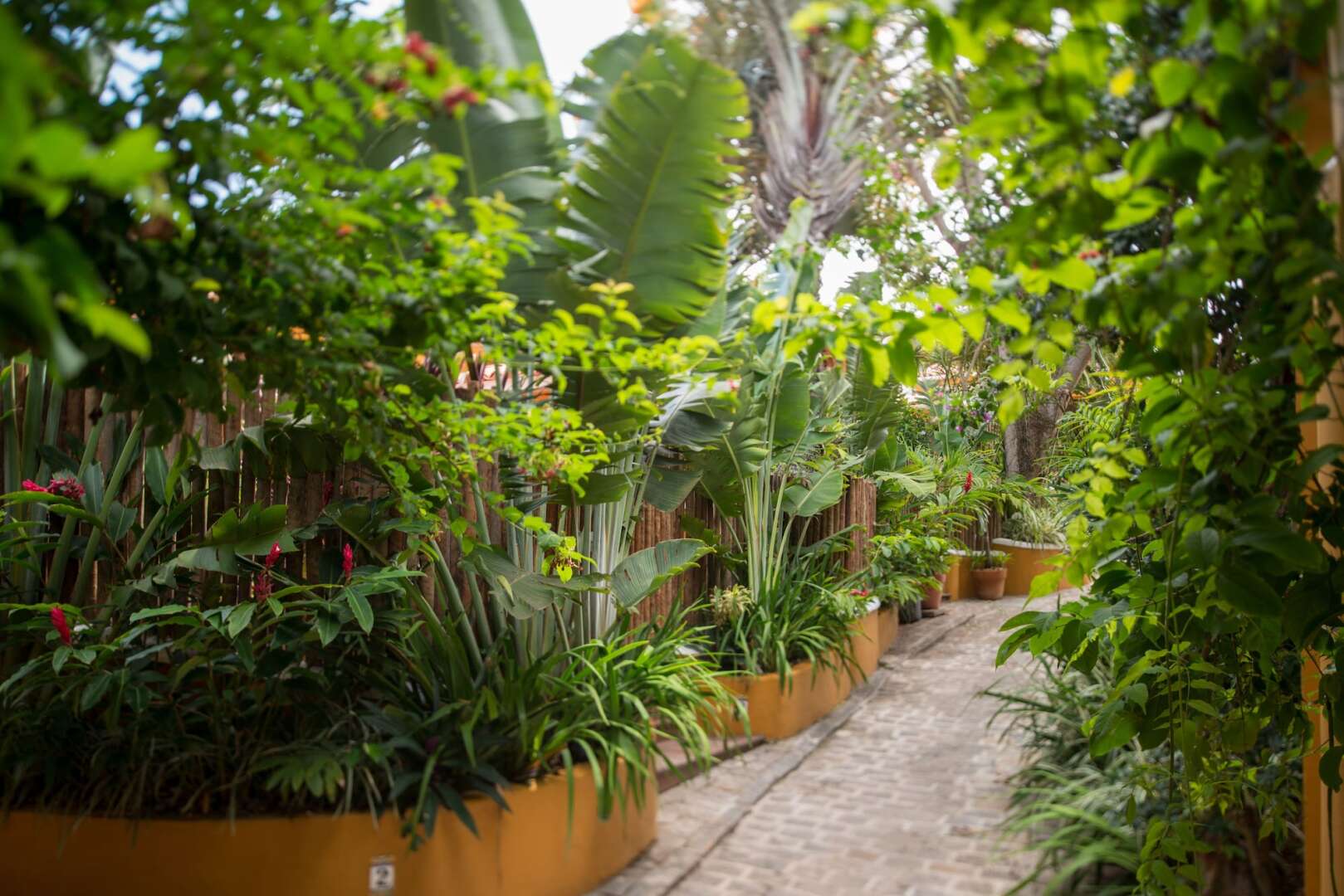 Photo - Vila deste Hotel