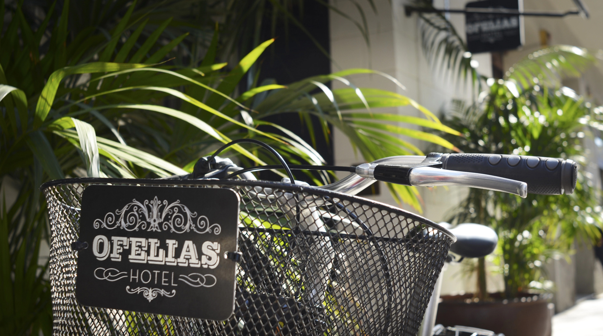 Foto - Ofelias Hotel 4Sup