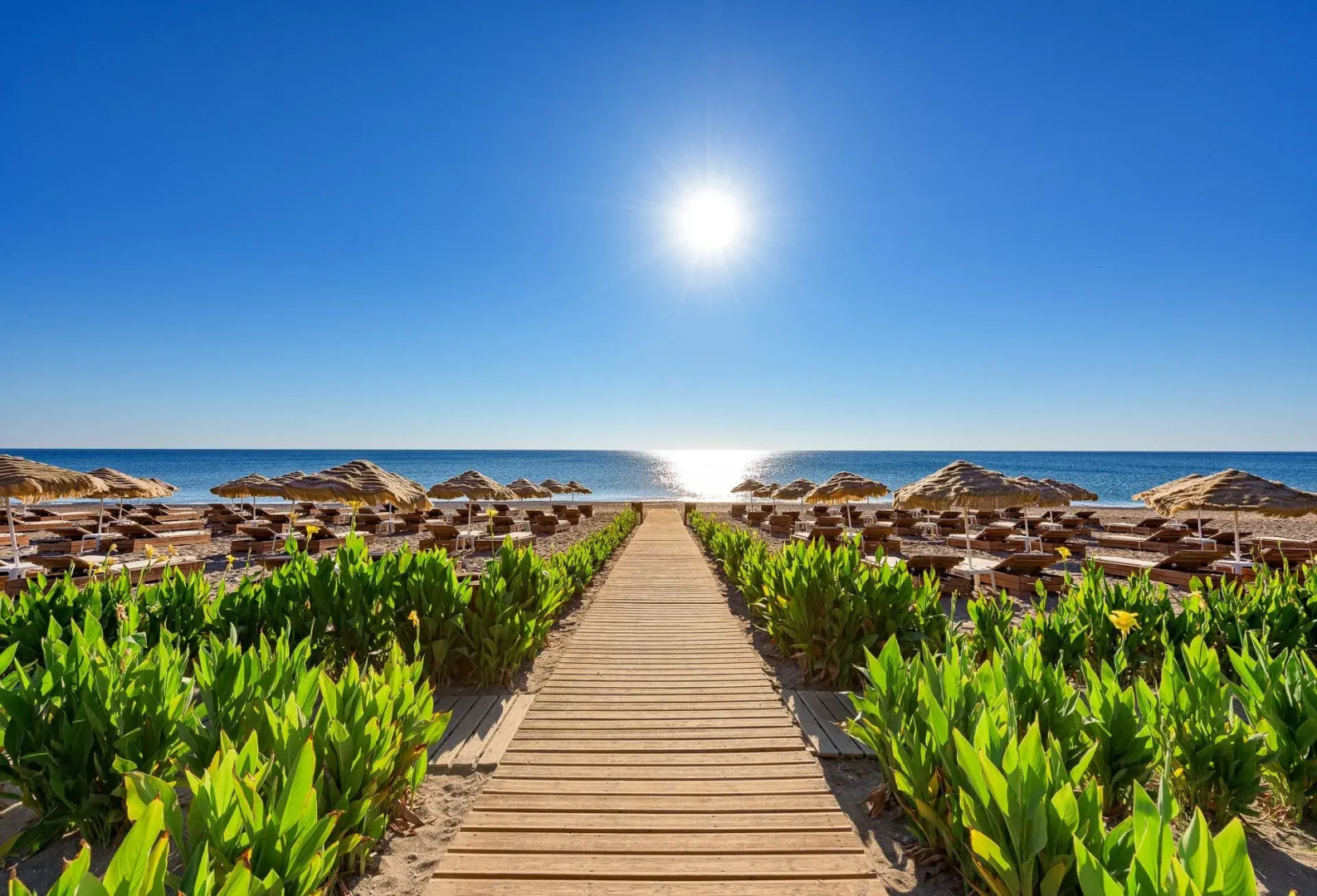 Photo - La Marquise Luxury Resort Complex