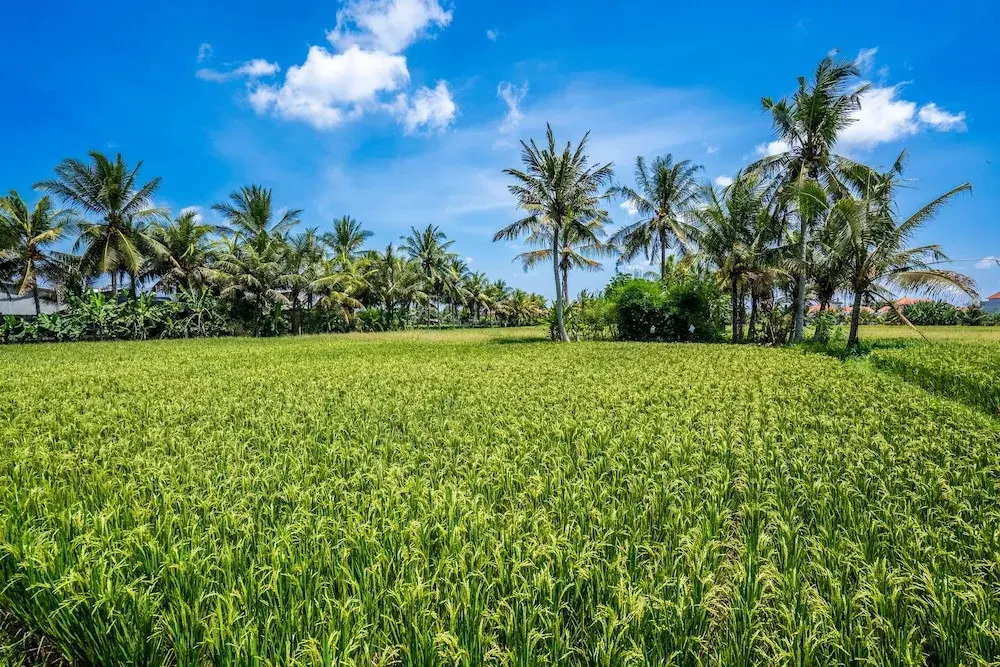 Foto - Green Flow Ubud Villas