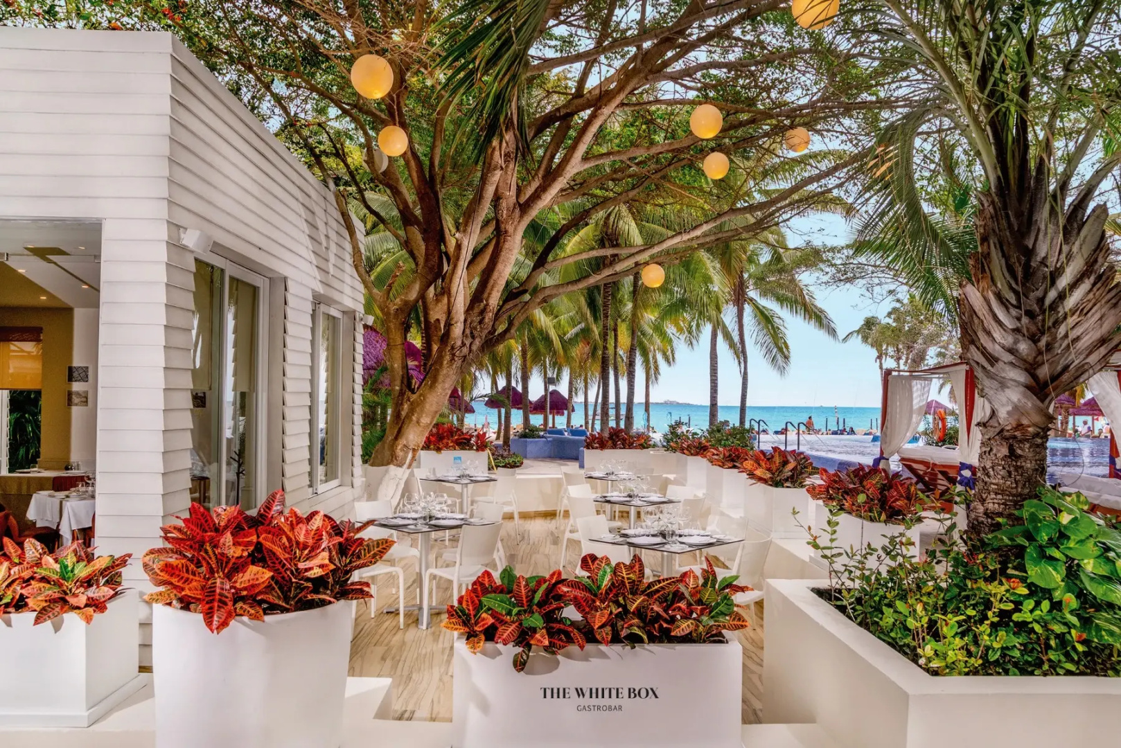 Photo - The Sens Cancun by Oasis - All Inclusive