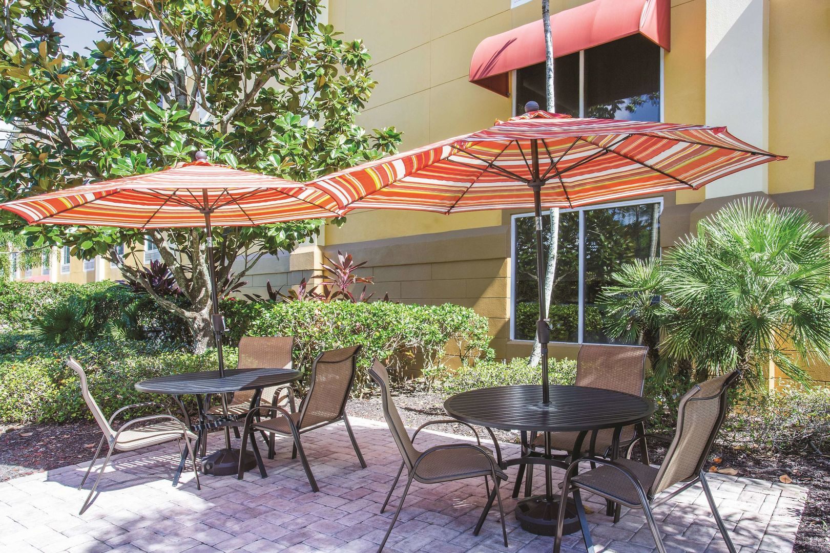 Foto - Comfort Inn & Suites Sarasota I75