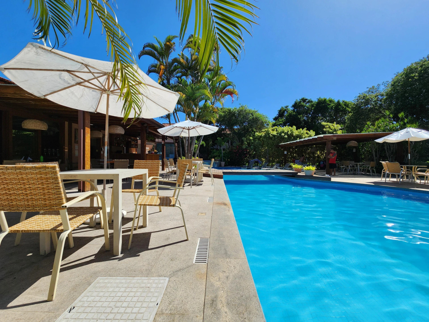 Photo - Corais e Conchas