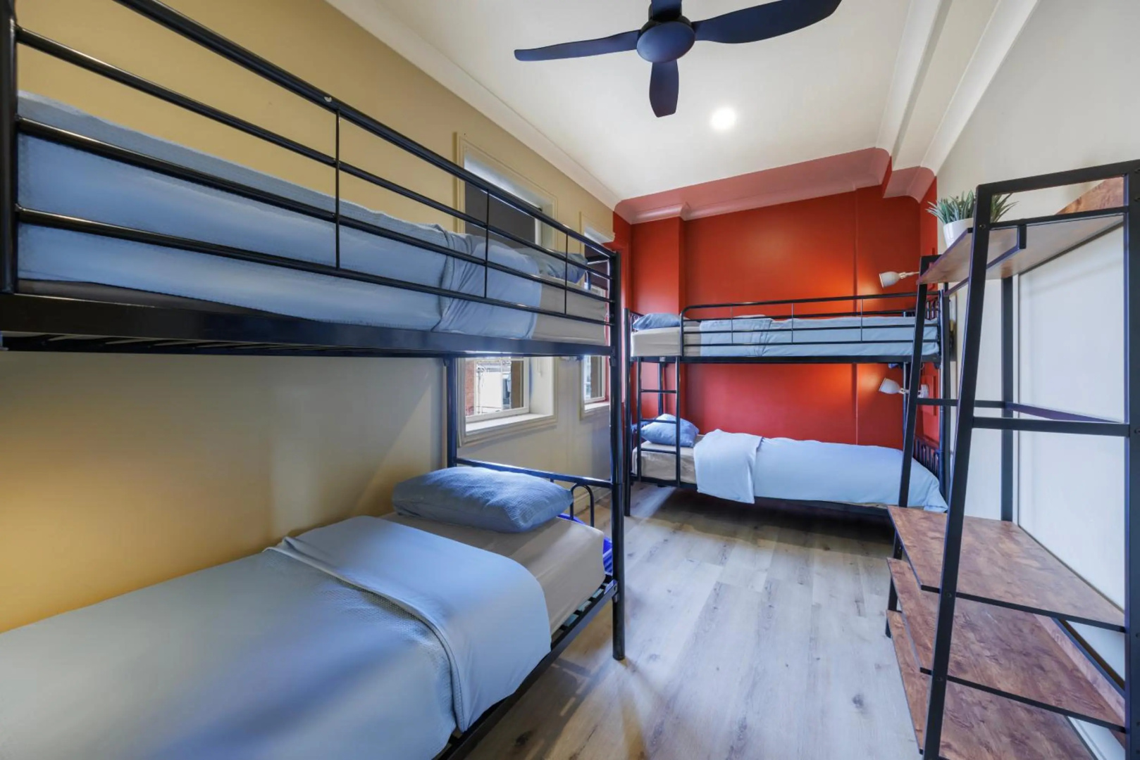 Photo - Mad Monkey Coogee Beach Hostel