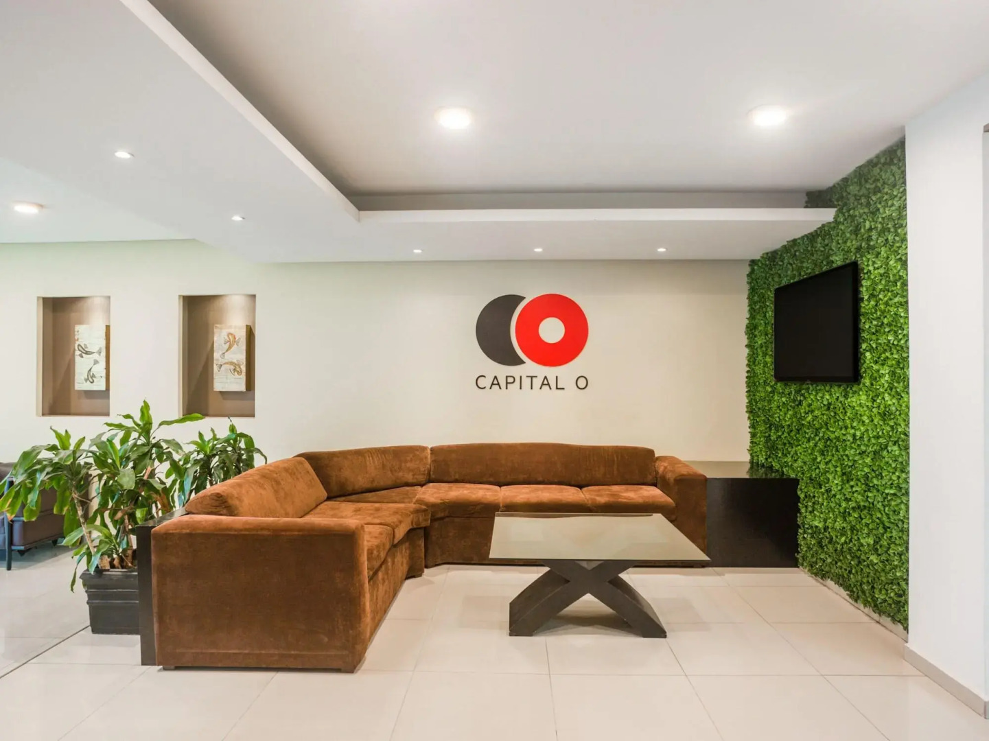 Foto - Veracruz Suites Hotel