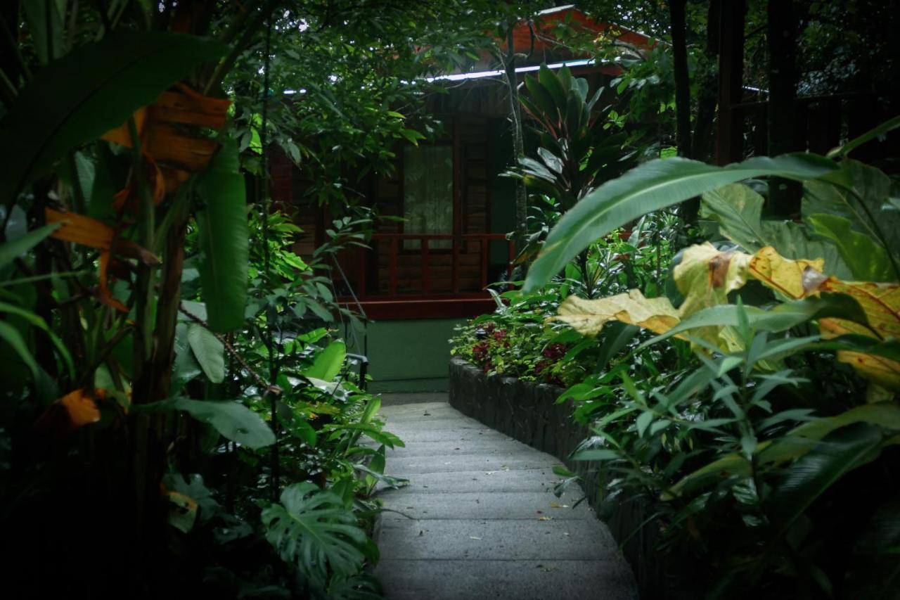 Foto - Jaguarundi Lodge