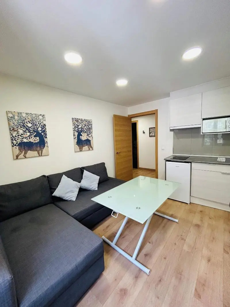 Photo - Apartahotel Canfranc
