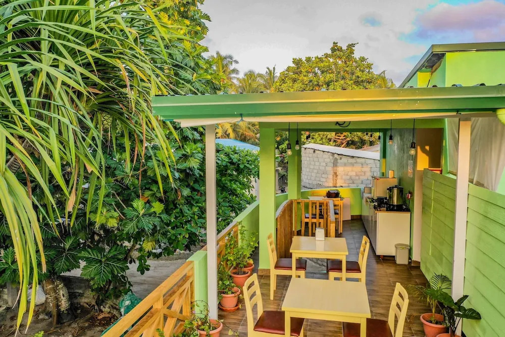 Photo - Turtle Maldives - Your Gateway to the Beach & Marine Adventures Await!