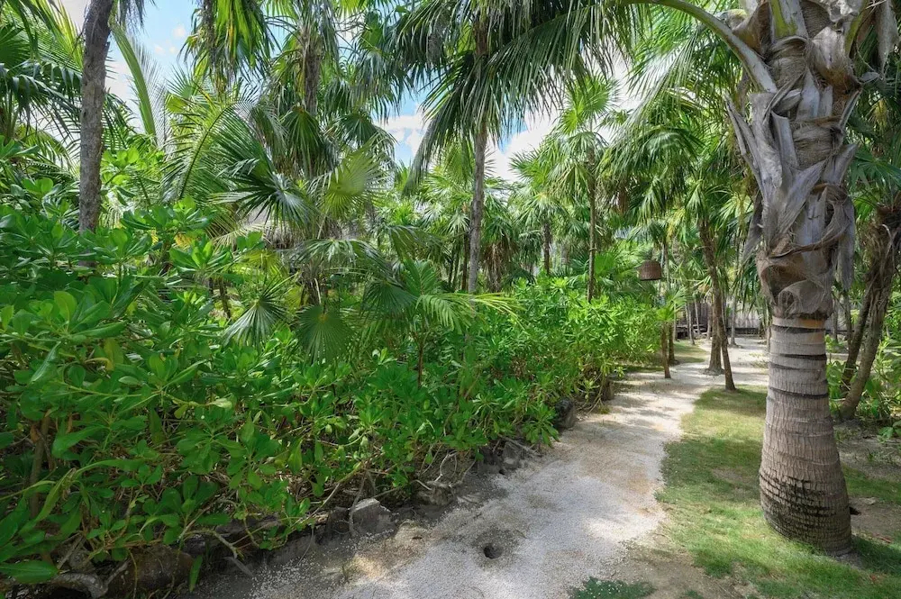 Photo - Vida Silvestre Tulum