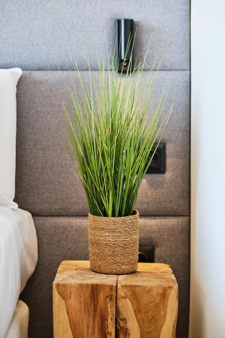 Foto - Hotel Almudaina