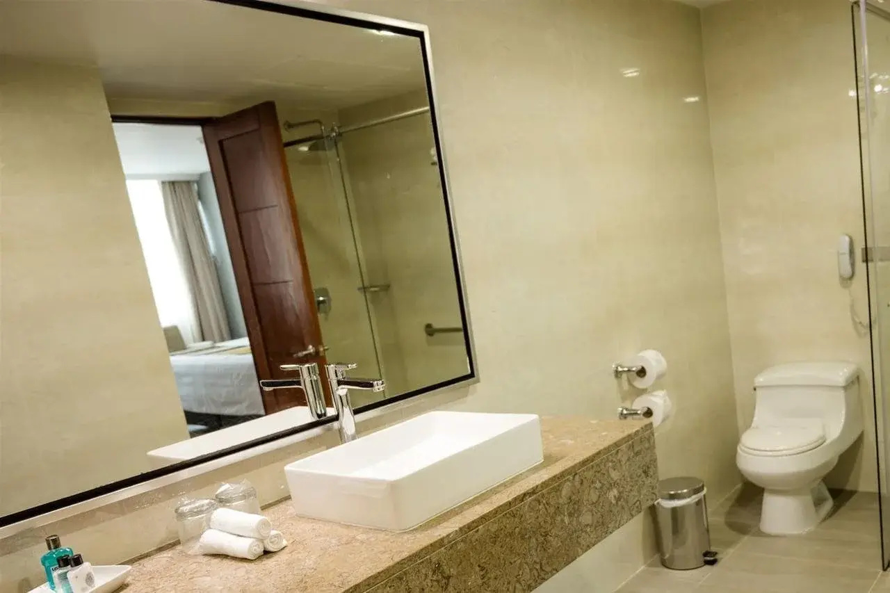 Photo - Hotel San Fernando Plaza