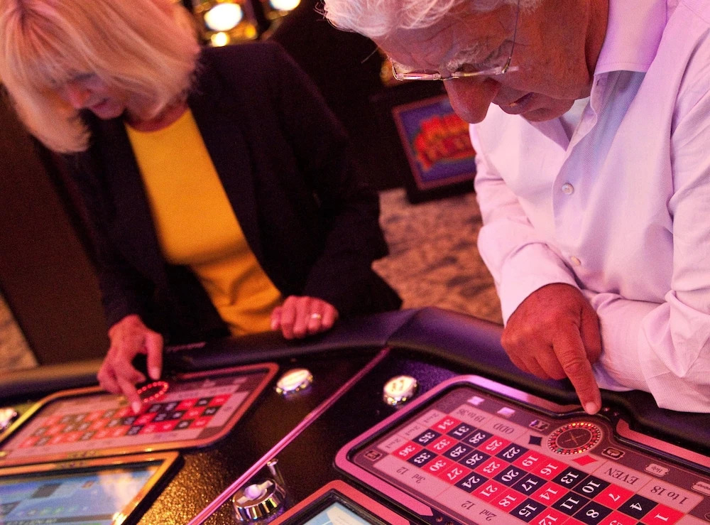 Foto - Van der Valk Hotel Avifauna