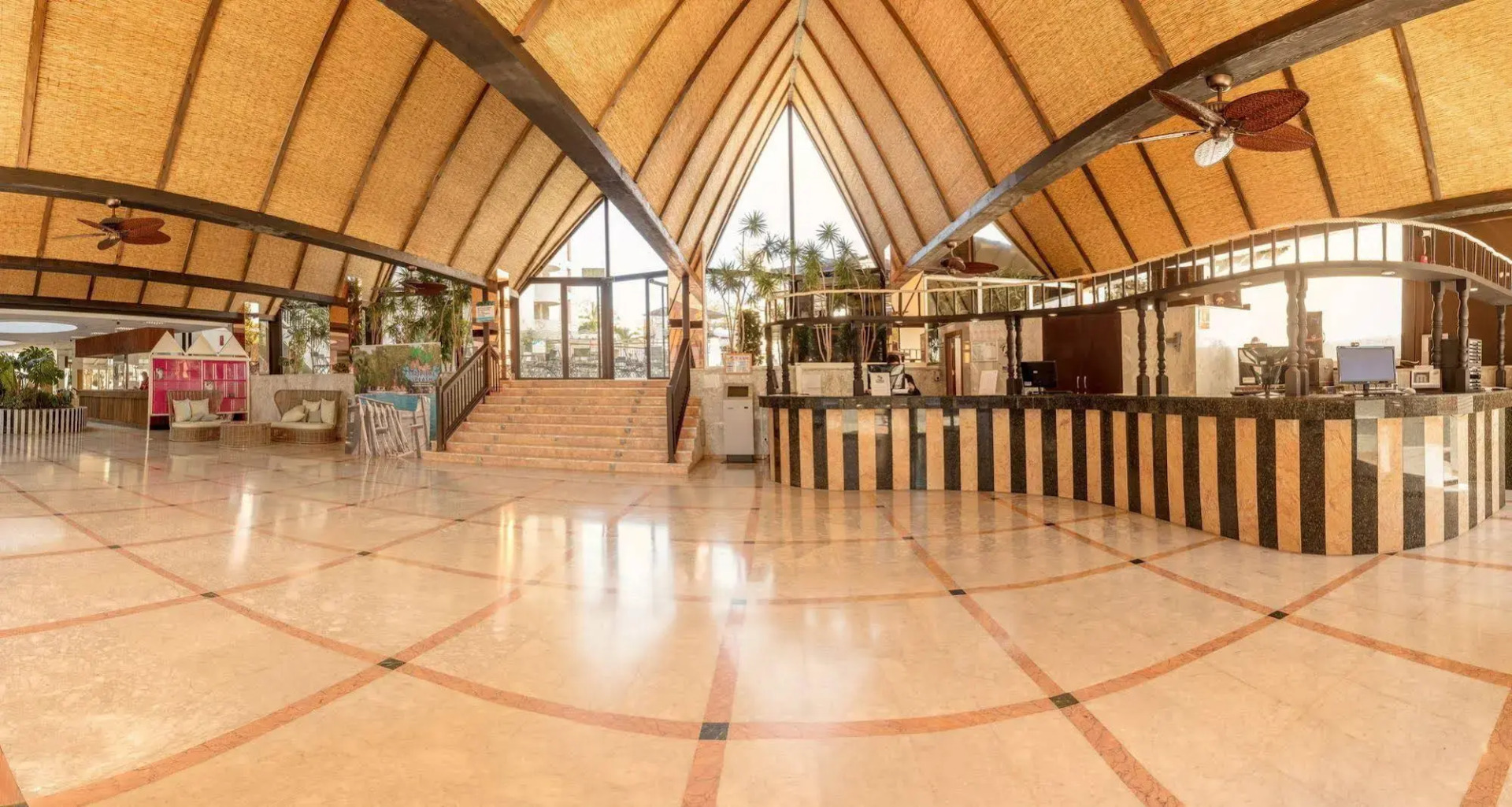 Photo - Magic Tropical Splash