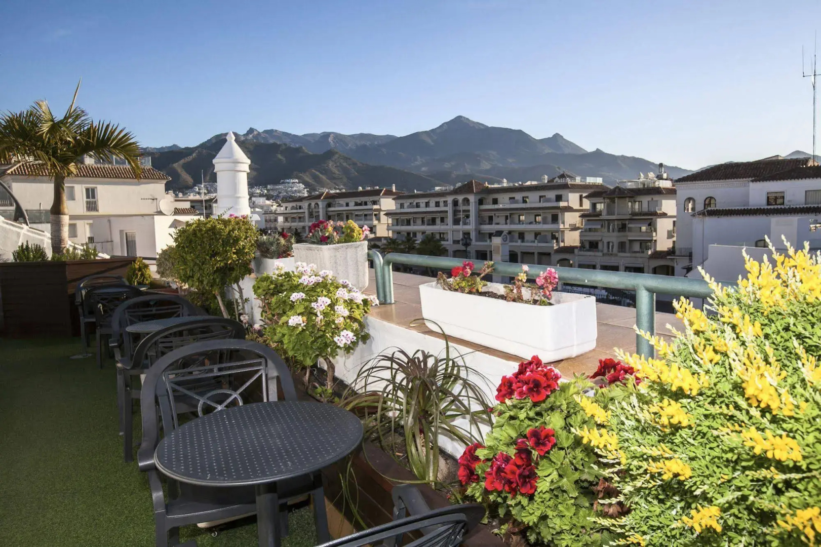 Foto - Hotel Plaza Cavana