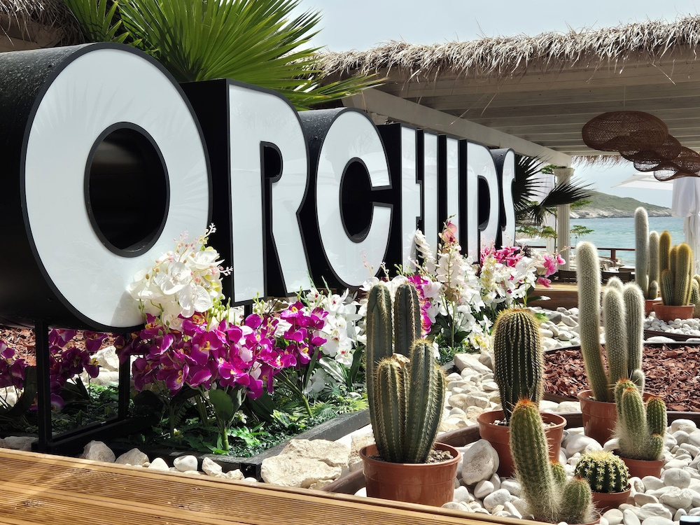 Photo - ORCHIDS Hotel