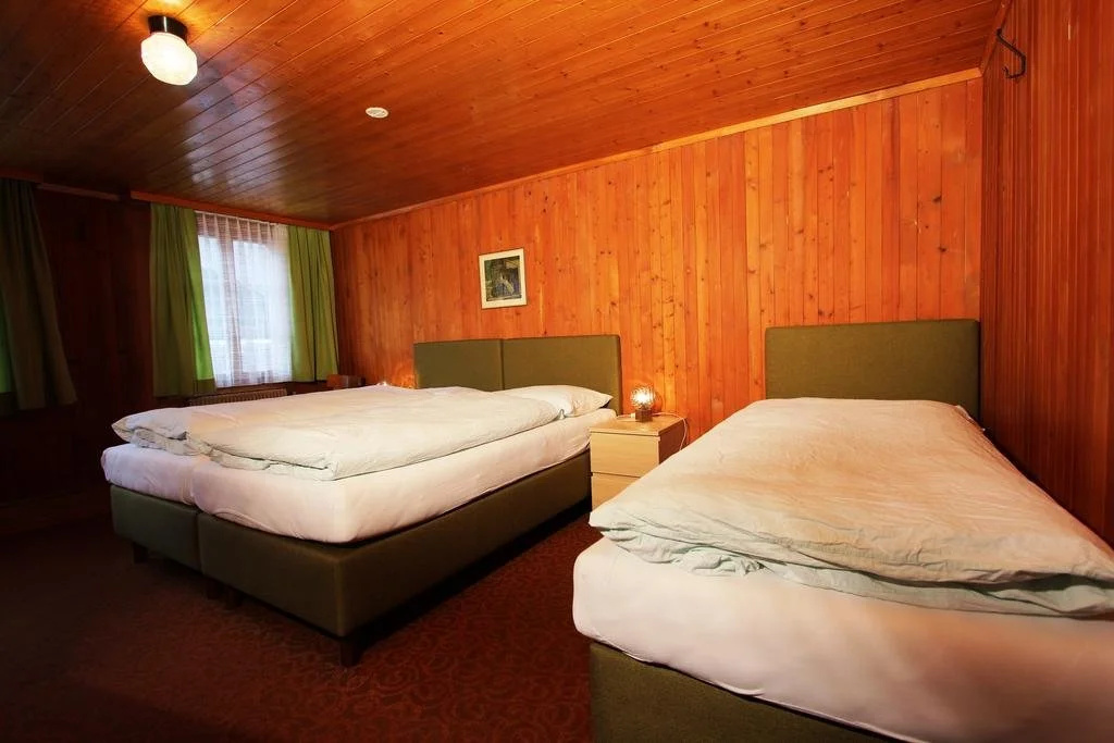 Photo - Hotel Restaurant Alpina