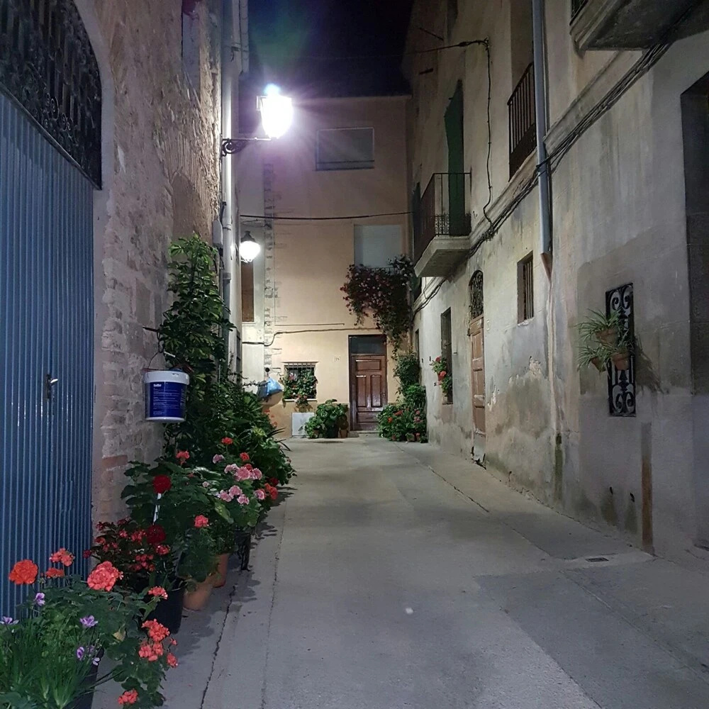 Photo - Hostal Braseria Missamaroi
