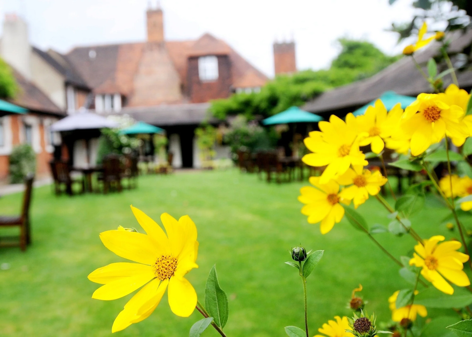 Foto - Marygreen Manor