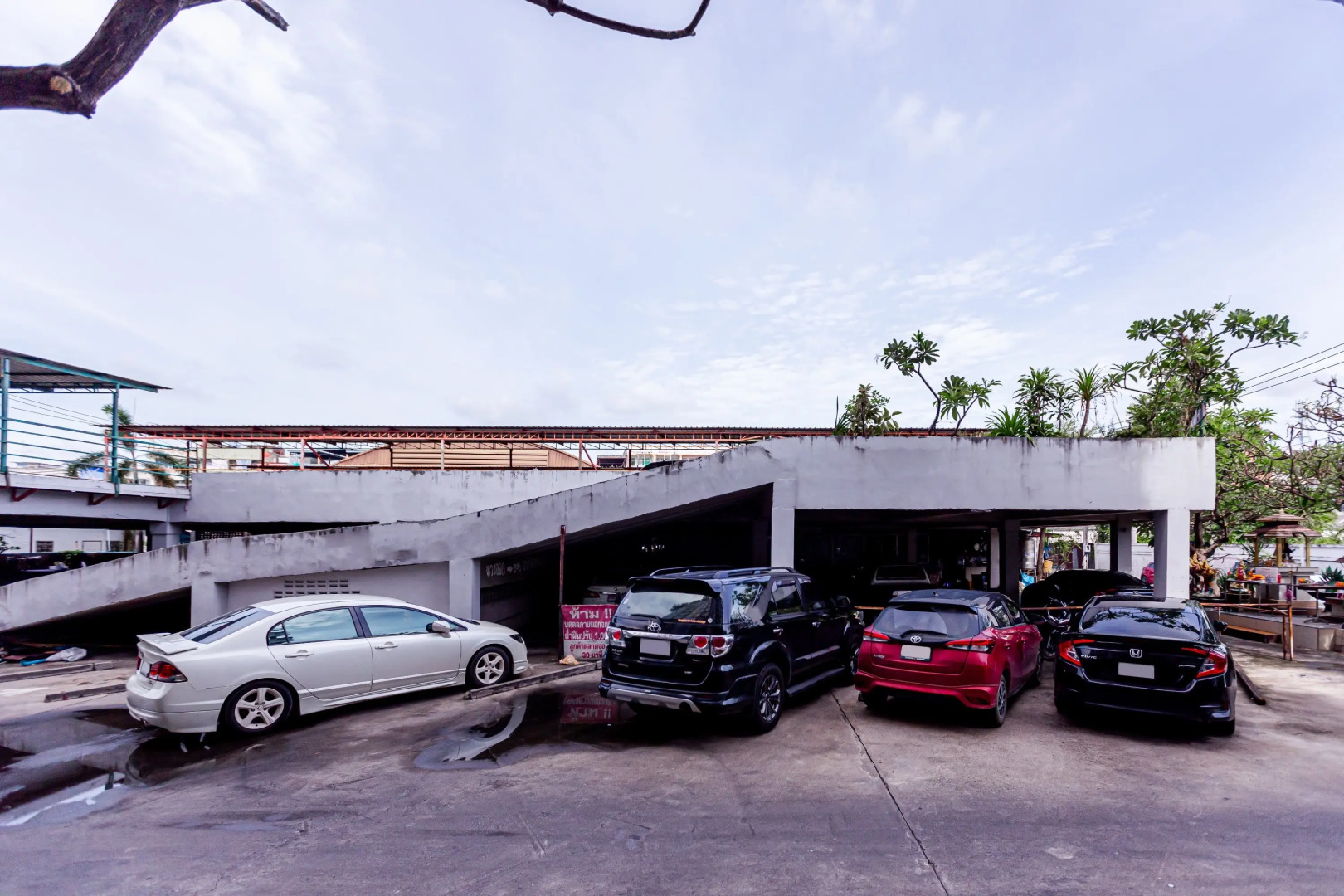 Foto - Latin Garden Hotel