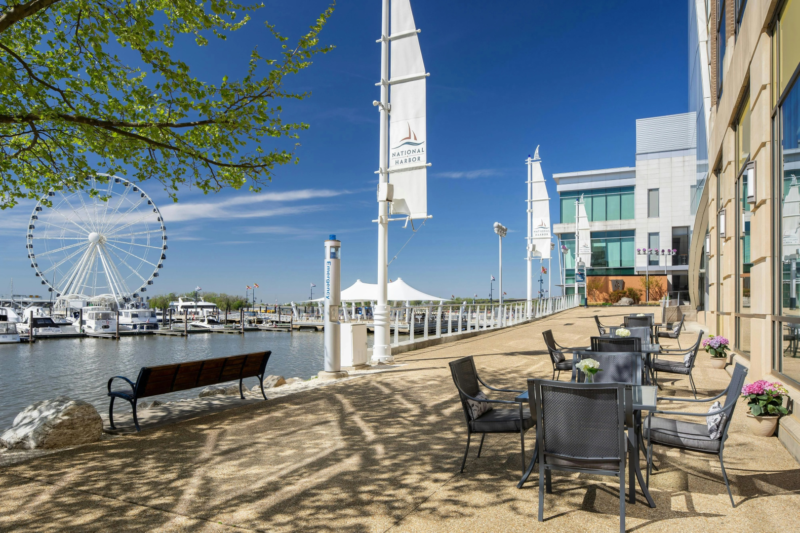 Foto - The Westin Washington National Harbor