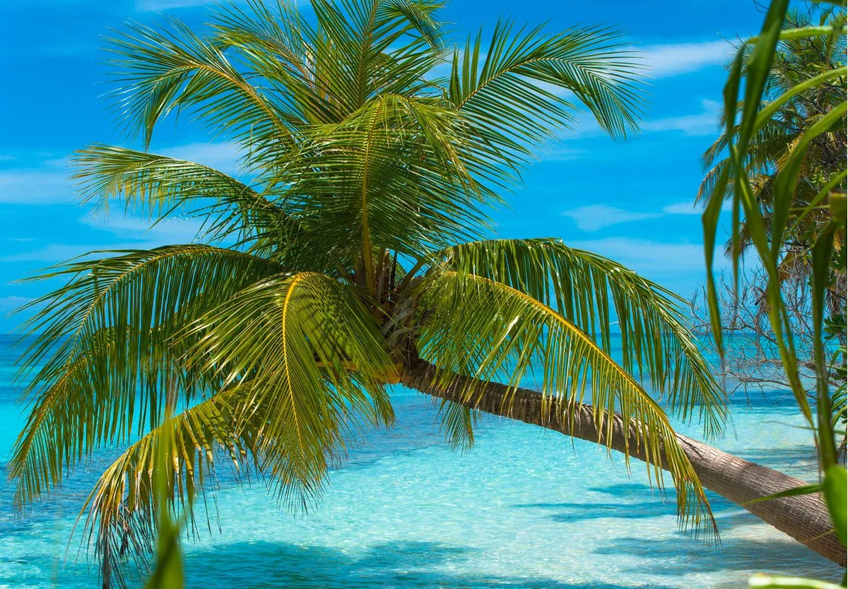 Photo - Dhiguveli Maldives