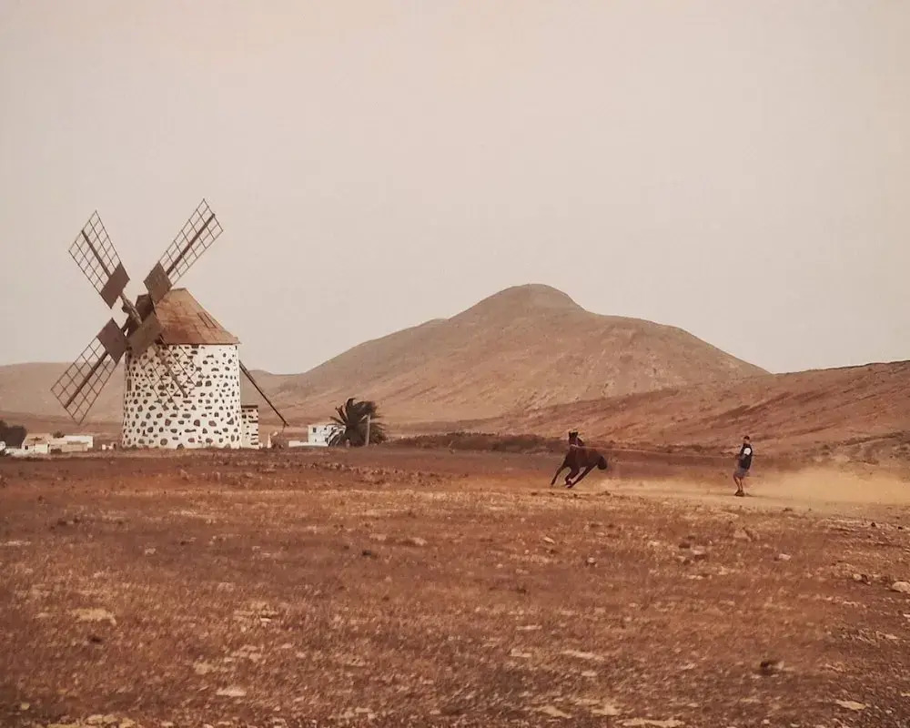 Photo - Casa Cocolores