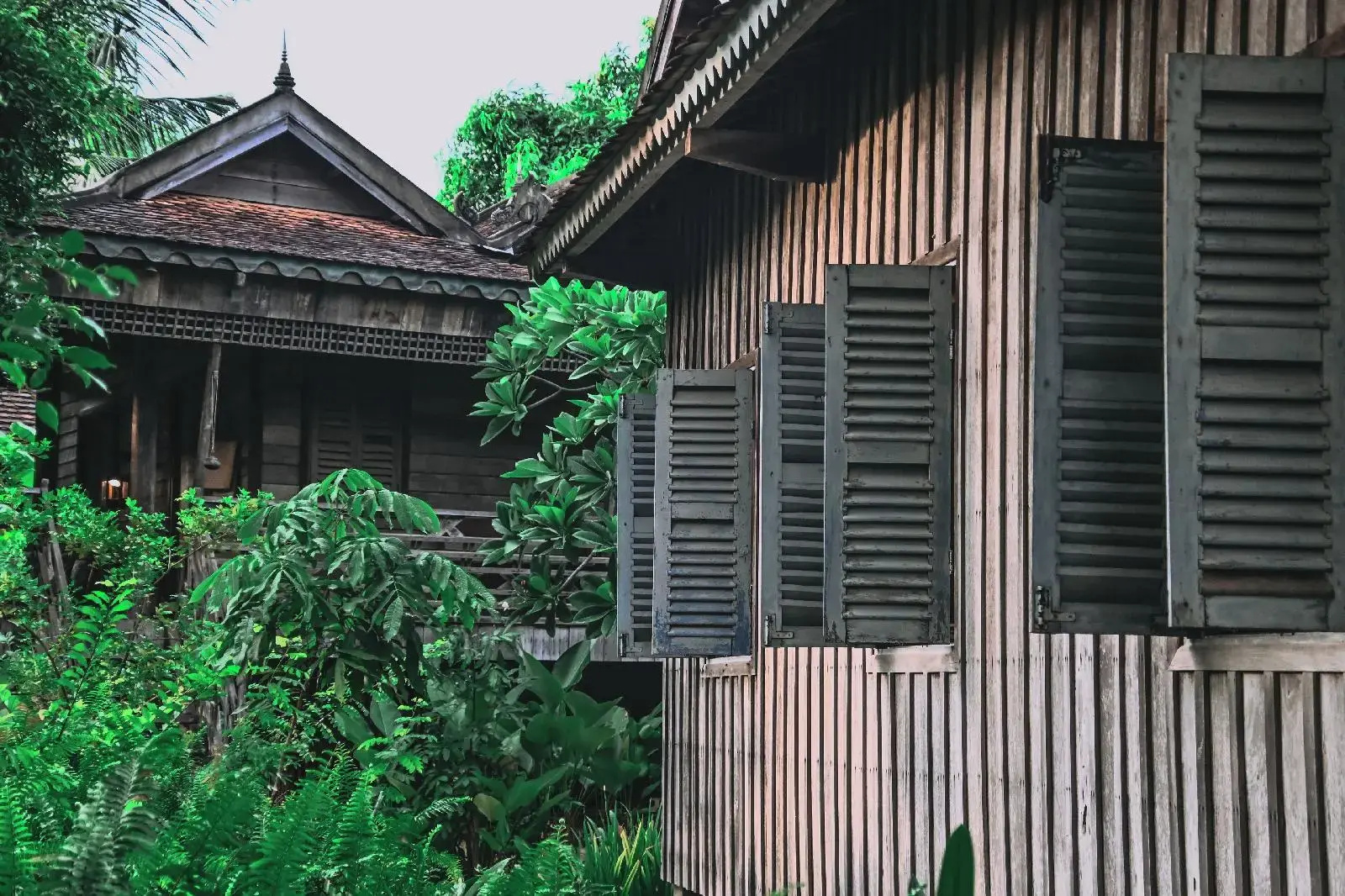 Foto - Sala Lodges