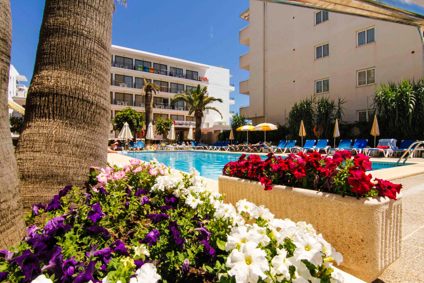 Foto - Universal Hotel Bikini