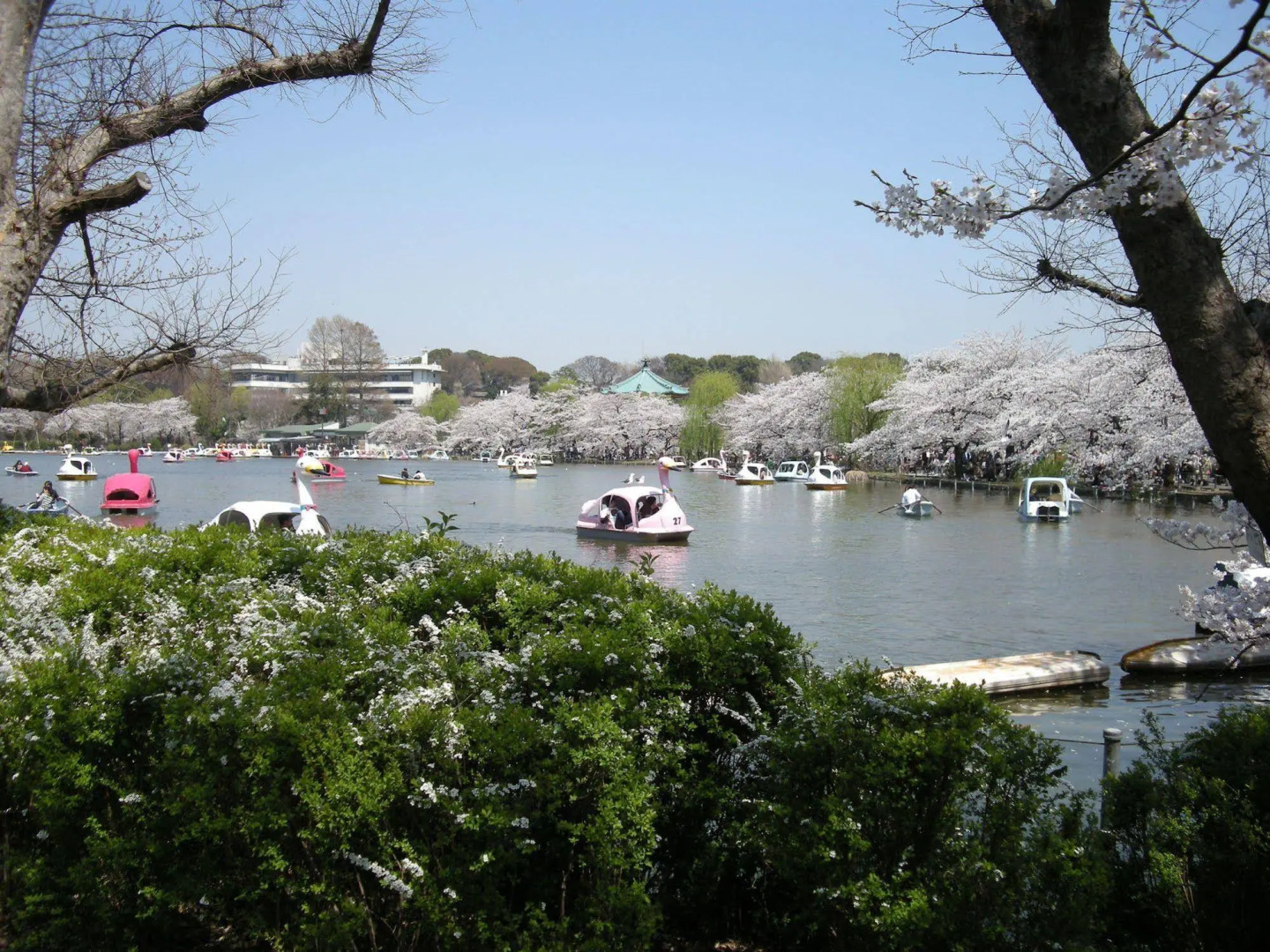 Photo - Ueno Terminal Hotel