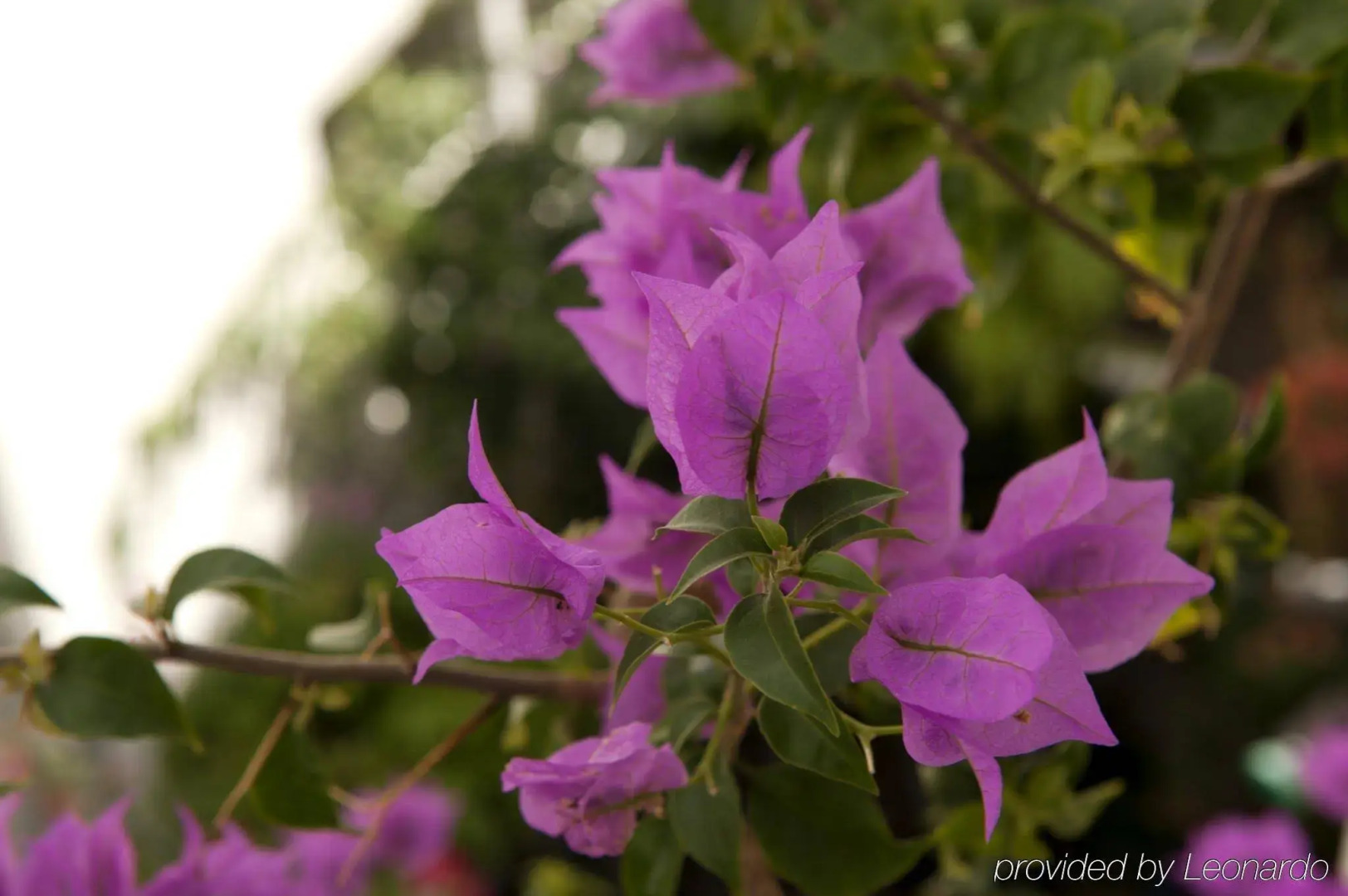 Foto - Beacon South Beach Hotel