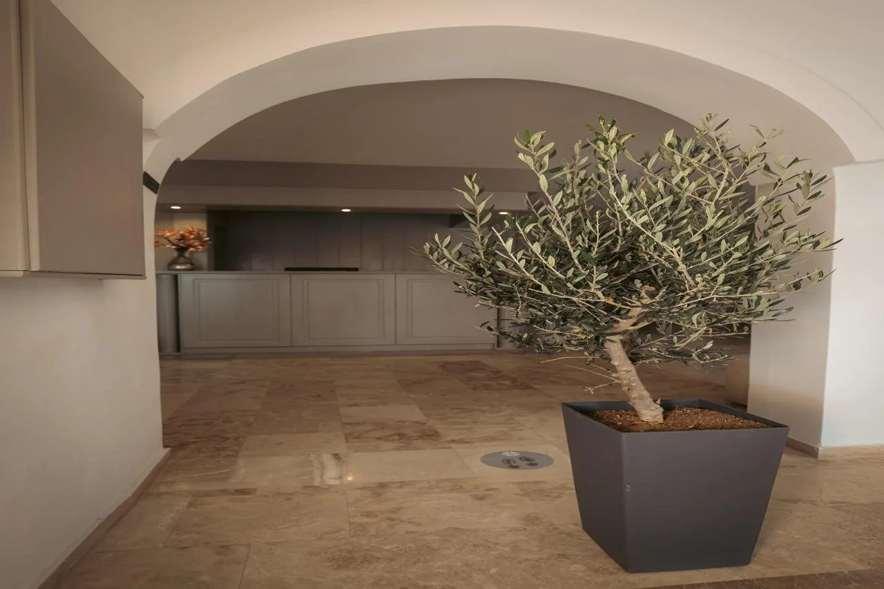 Photo - Hotel Marybill