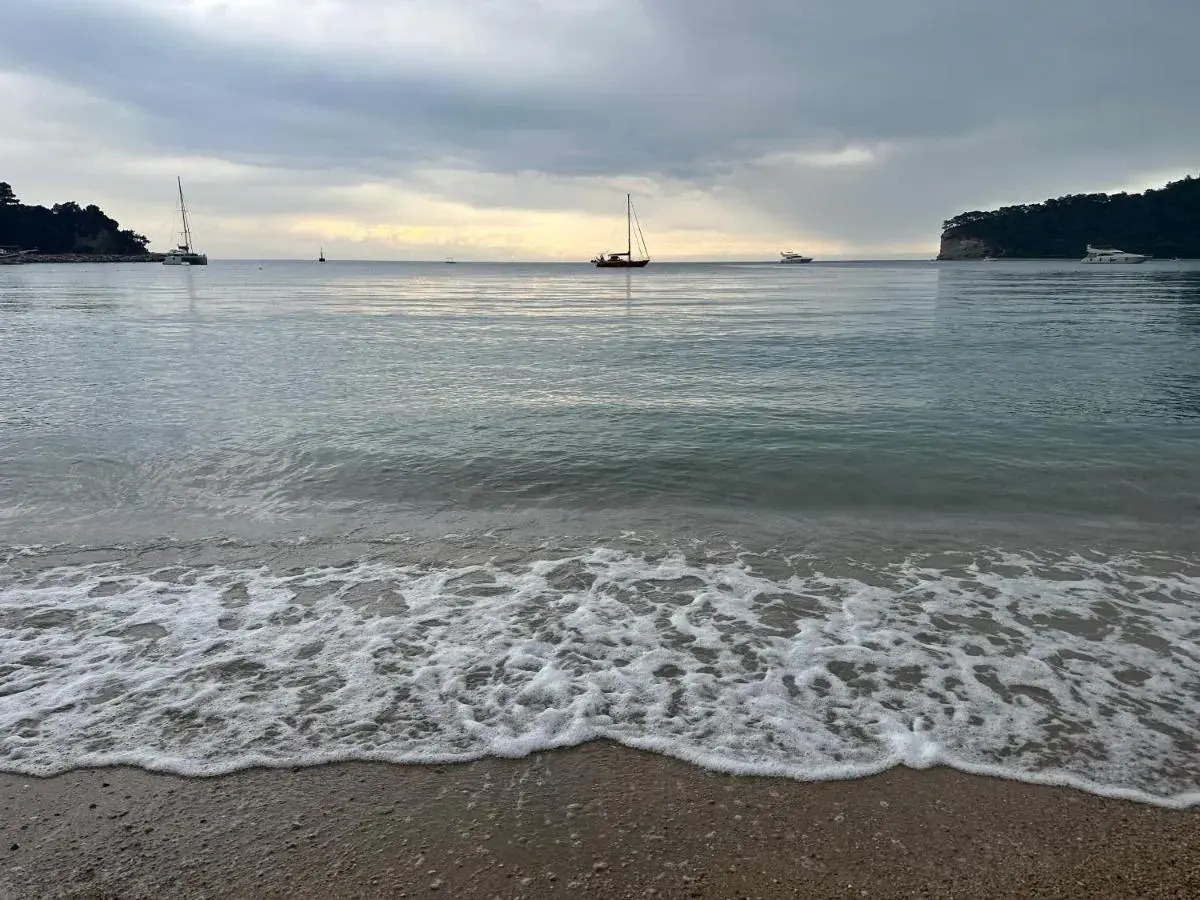 Photo - Naturella Apart