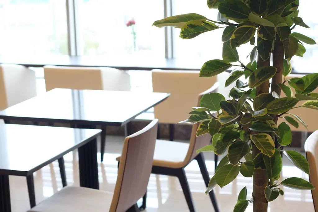 Photo - Urban Hotel Minami Kusatsu