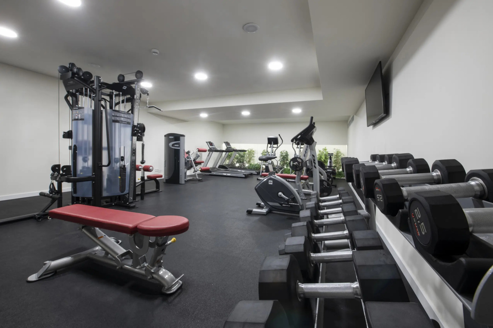 Foto - Tarraco Park Tarragona