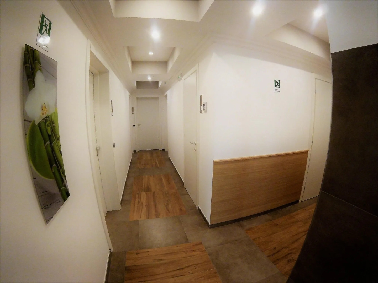 Photo - Hotel Paolo II