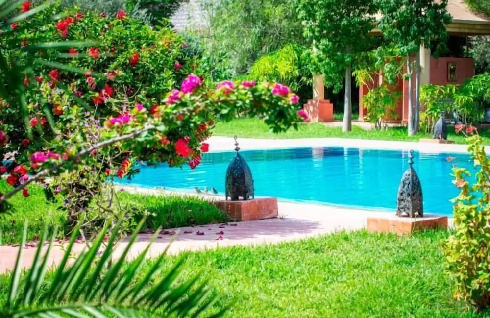 Foto - Las Palmeras Guest House