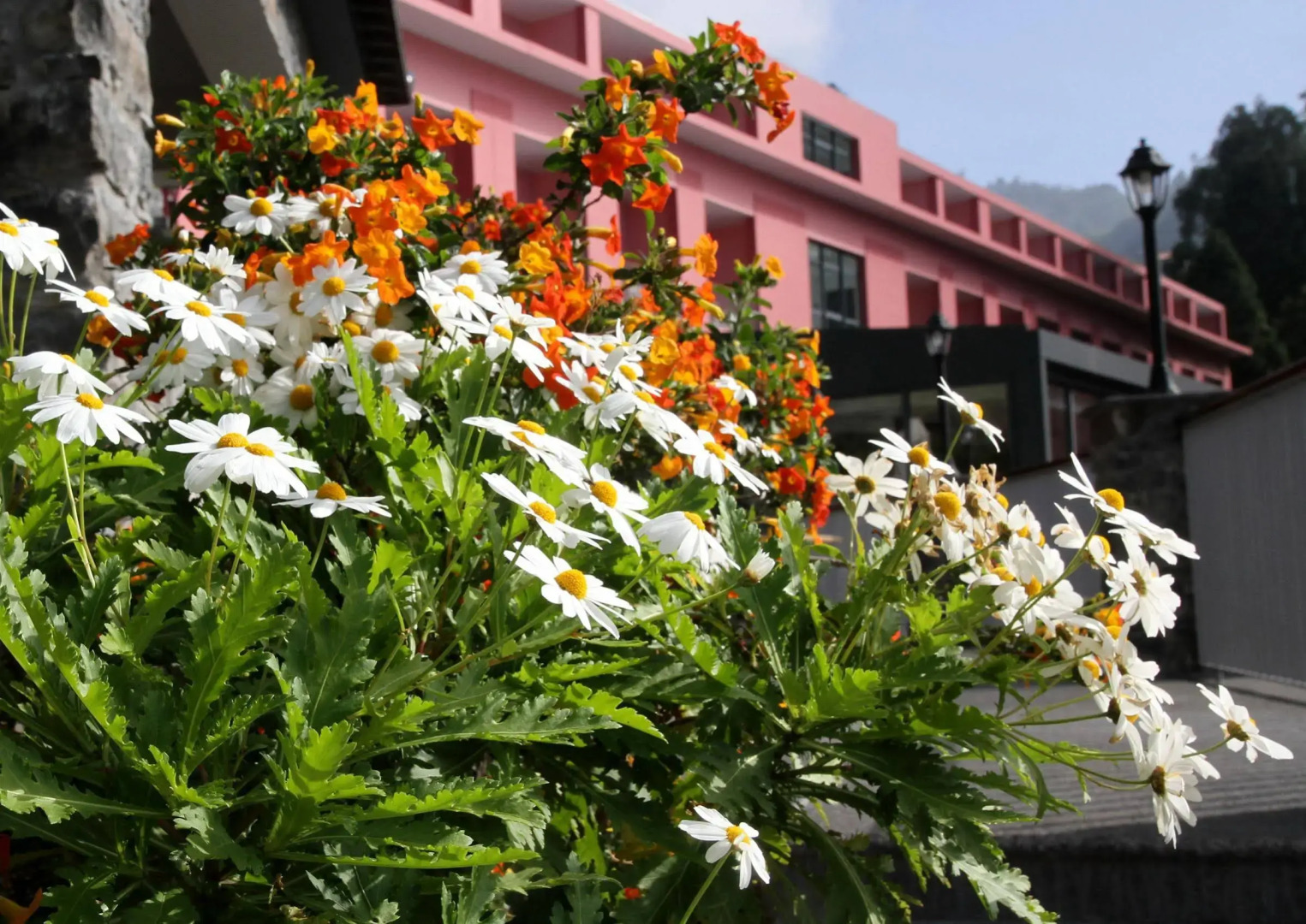 Photo - BIO Hotel - Hotel Quinta da Serra